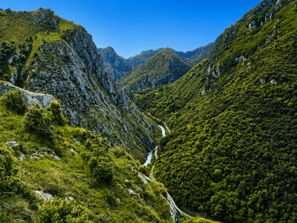 Cabrales Valley