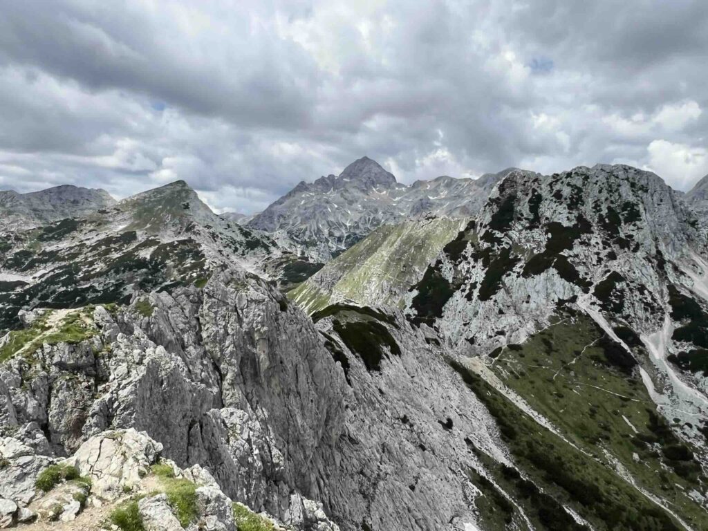Visevnik