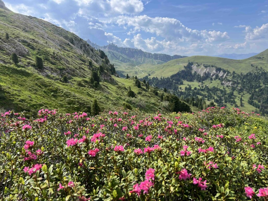 Antermoia Lake