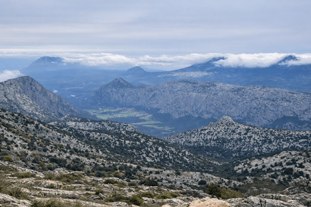 Monte Corrasi