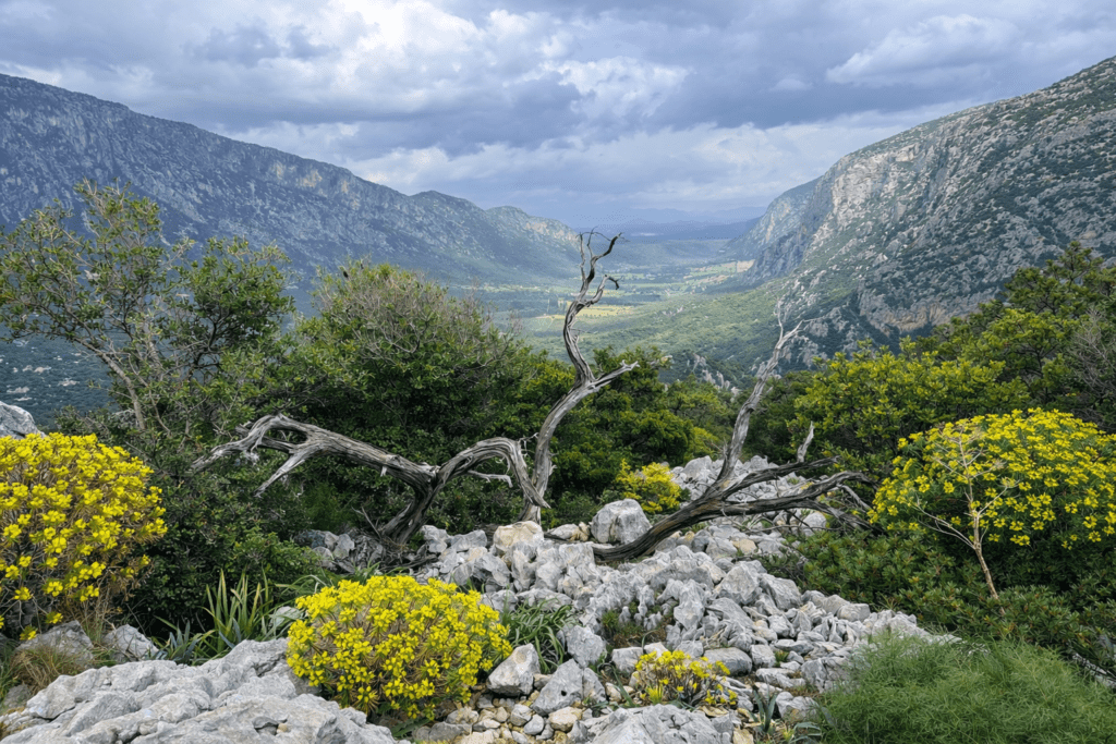 Monte Tiscali